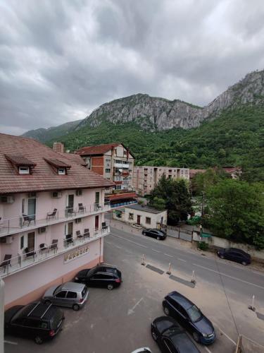 una ciudad con coches estacionados en un estacionamiento con montañas en Pensiunea Paradis Baile Herculane, en Băile Herculane