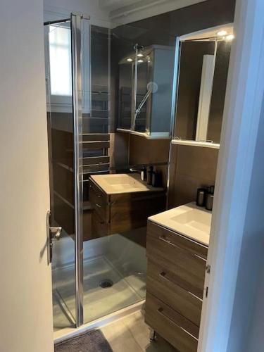 une salle de bain avec douche et lavabo dans l'établissement Appartement T2 avec terrasses, à Le Castellas