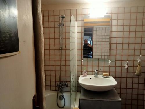 a bathroom with a sink and a shower with a mirror at AlpesAzur in Coursegoules