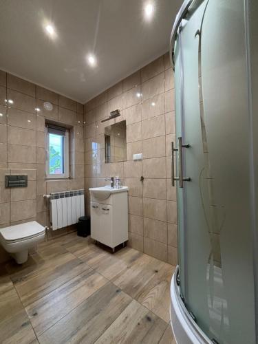ein Bad mit einer Dusche, einem Waschbecken und einem WC in der Unterkunft Noclegi u Tadka in Zator