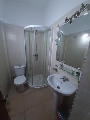 a bathroom with a shower and a toilet and a sink at Pensione Casa da AMIZADE B&B in Pedra Badejo