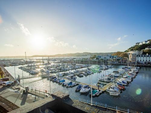 a marina filled with lots of boats in the water at Luxe Torquay Central Apartments Overlooking Harbour Near Babbacoombe Beach in Torquay