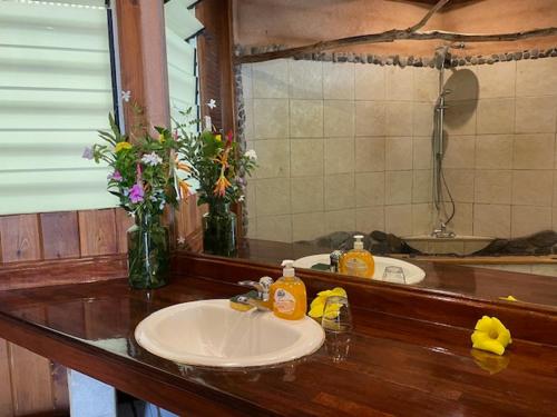un bancone del bagno con lavandino e specchio di VILLA O VAI a Teahupoo