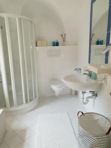 a bathroom with a shower and a sink and a toilet at Hof Am Bach in Caldaro