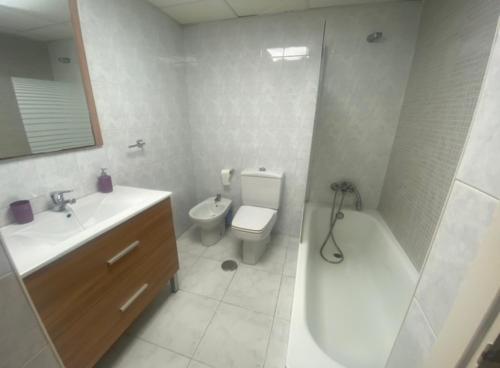 ein Bad mit einem Waschbecken, einem WC und einer Dusche in der Unterkunft Apartamento El Mirador in Aguadulce