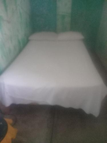 a white bed in a green room at Hostal Bravo Vallarta in Puerto Vallarta