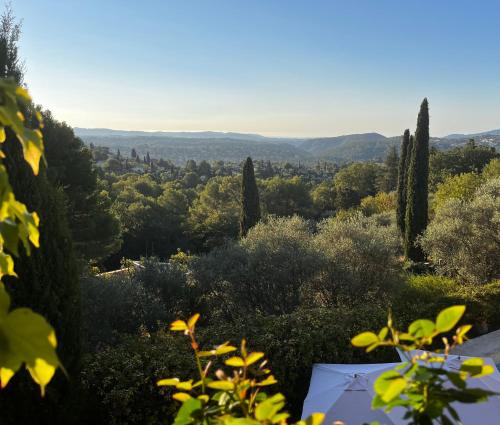 - une vue depuis le sommet d'une colline plantée d'arbres dans l'établissement PROCHE GRASSE - LE MAS de la MADONETTE, à Spéracèdes