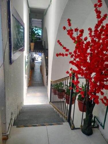 a red tree in a hallway next to a building at Hotel Tao in Atlixco