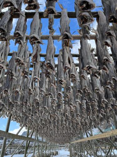 a bunch of objects hanging from a roof at Naustplassen Rorbuer in Ballstad