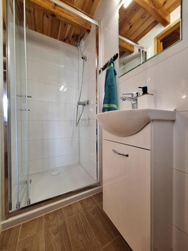 a bathroom with a sink and a shower at Domek we Władku in Władysławowo