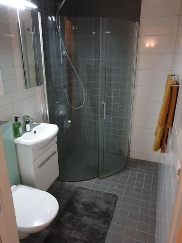 a bathroom with a shower and a toilet and a sink at Hybel nær flyplass og kort vei til sentrum in Tromsø