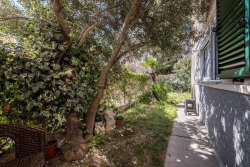 Olive Shade - Apartment near the Beach