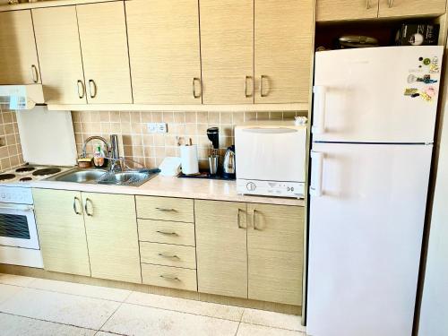 una cucina con frigorifero bianco e lavandino di Pool House ( Πέτρινο σπίτι με πισίνα ) a Oitylo