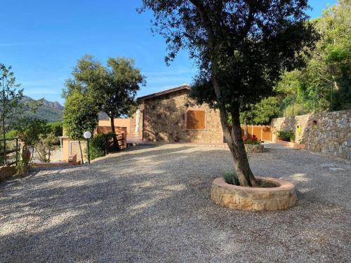 Un árbol en una maceta frente a un edificio. en Villetta Zuccale III Natura e Vista Mozzafiato sul Mare, en Capoliveri