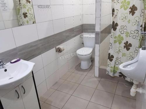 La salle de bains est pourvue de toilettes et d'un lavabo. dans l'établissement ALFA Noclegi, à Jędrzejów