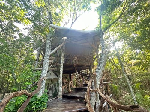 a tree house in the forest at Ikalar in Akumal