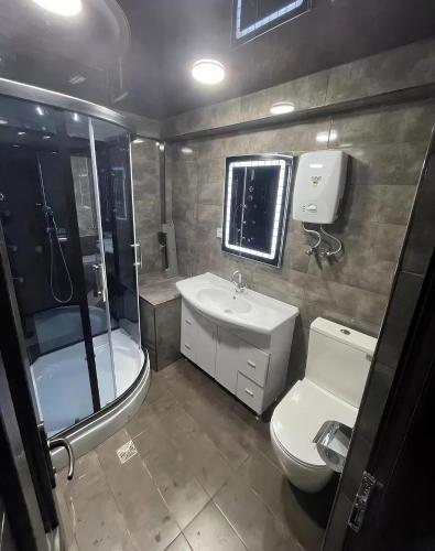 ein Bad mit einem WC, einem Waschbecken und einer Dusche in der Unterkunft Villa of Conors 2 in Linz