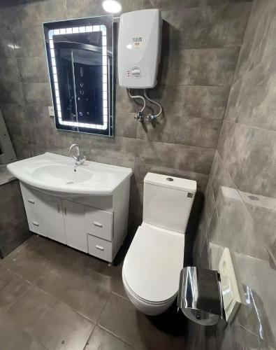 ein Badezimmer mit einem WC, einem Waschbecken und einem Spiegel in der Unterkunft Villa of Conors 2 in Linz