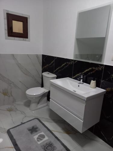 a bathroom with a white sink and a toilet at Casa de la Moară in Tureac