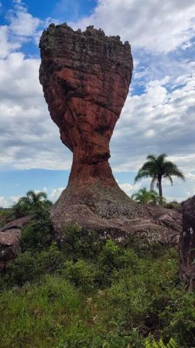 a large rock formation in a field with a palm tree at Linda vista pôr do Sol. in Ponta Grossa