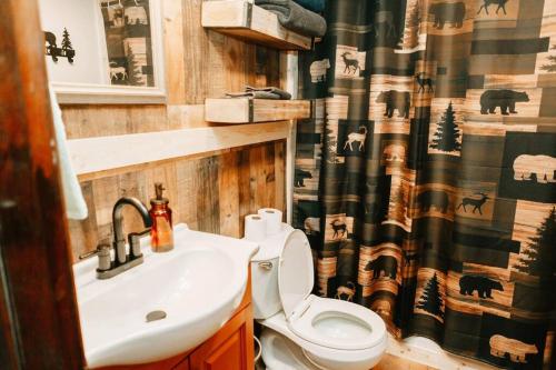 een badkamer met een wastafel, een toilet en een douchegordijn bij Luxury Mountain Getaway in Pickens