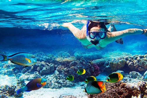 a person swimming in the water with fish at Pousada Juliana in Abraão