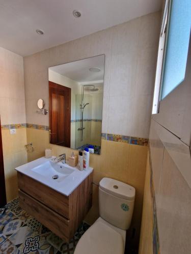 a bathroom with a sink and a toilet and a mirror at Virgen de Luján Triana in Seville