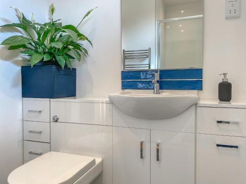 a white bathroom with a sink and a plant at Bridge Cottage in Earlston