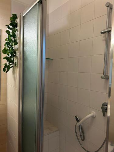 A & F Apartment