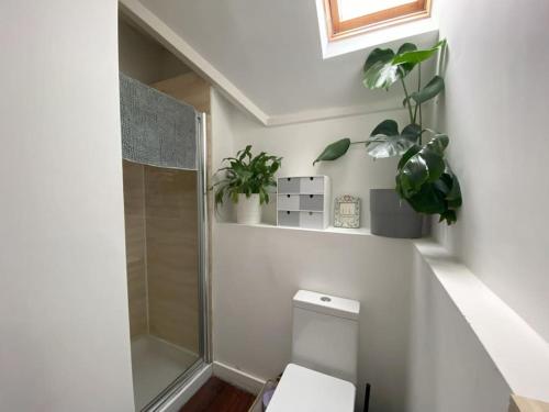 a bathroom with a toilet and some plants at Biophilic Duplex - Family & Pet Friendly in Sheffield