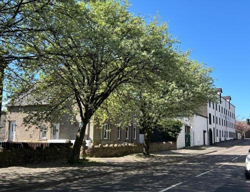 een straat met twee bomen voor een gebouw bij Camisila in Campbeltown