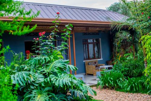 a blue house with a garden at Little Birds Paradise in Ruhengeri