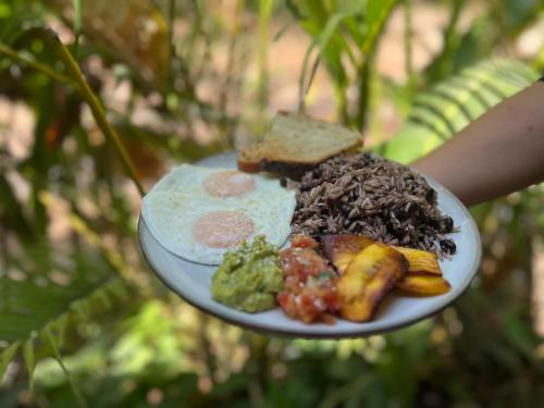 Φαγητό σε αυτό το hostel ή κάπου εκεί κοντά