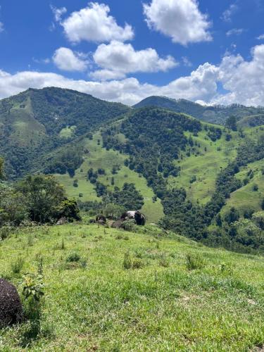 Landskap semula jadi dekat dengan chalet