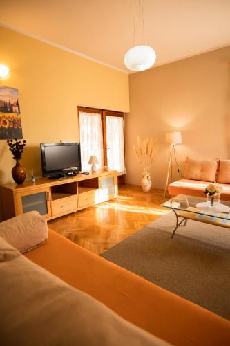 TV a/nebo společenská místnost v ubytování Apartman Emina