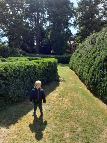 a little boy standing in the grass near some bushes at Mainholm in Gore