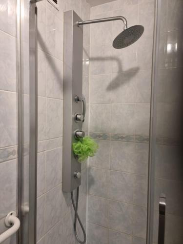 een douche met een glazen deur in de badkamer bij Shared room next to Shopping mall and Train Station in Courcouronnes