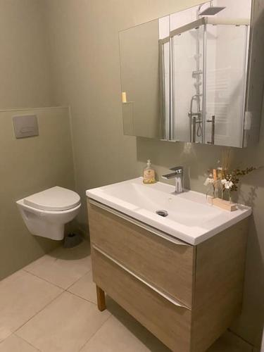 une salle de bain avec un lavabo et des toilettes dans l'établissement Studio centre de Béziers, à Béziers