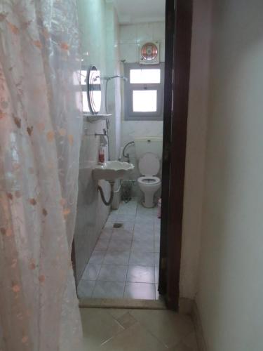 een kleine badkamer met een toilet en een wastafel bij Amazing Maadi Apartment ( Spa & fitness ) in Caïro