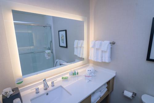 a bathroom with a sink and a large mirror at Holiday Inn & Suites Houston NW - Willowbrook, an IHG Hotel in Houston