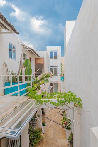 3 Studios at Casa Areito