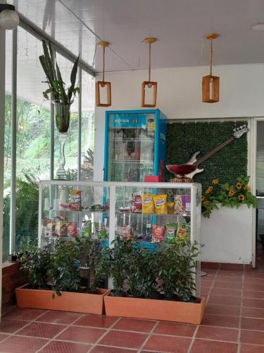 a shop with plants in a glass case at Hotel campestre Villa Sarita in San Francisco
