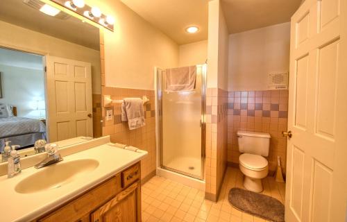 a bathroom with a sink and a toilet and a shower at Stunning Lake and Mountain Views, Pool, Beach, Walk to Town! in Lake Placid