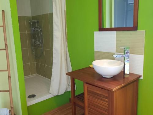 baño verde con lavabo y ducha en Gîte Brain-sur-Allonnes, 3 pièces, 4 personnes - FR-1-622-4, en Brain-sur-Allonnes