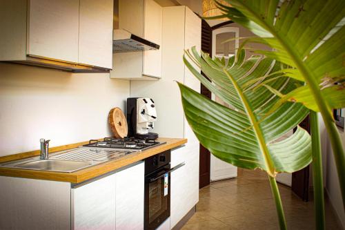 a kitchen with a sink and a stove and a plant at Oltremare Suite N37 Villa fronte mare con spa privata giardino vista panoramica e wifi gratuito in Bagheria