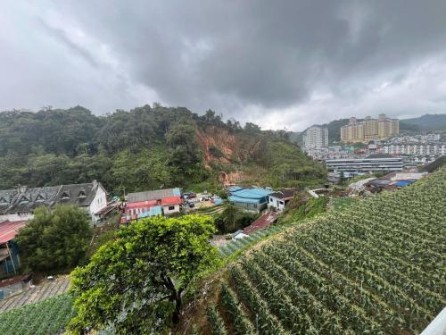 a city with a bunch of vines on a hill at Sri Juliana Chalet in Tanah Rata