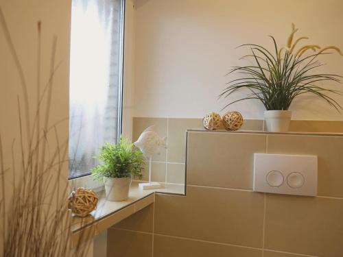 ein Badezimmer mit Topfpflanzen auf einem Regal in der Unterkunft Kjeirstr. 34, W9, H. Atlanta in Westerland
