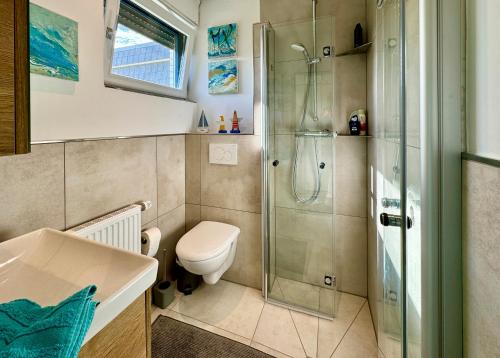 a bathroom with a shower and a toilet and a sink at Ferienhaus DEICHBLICK in Tossenserdeich