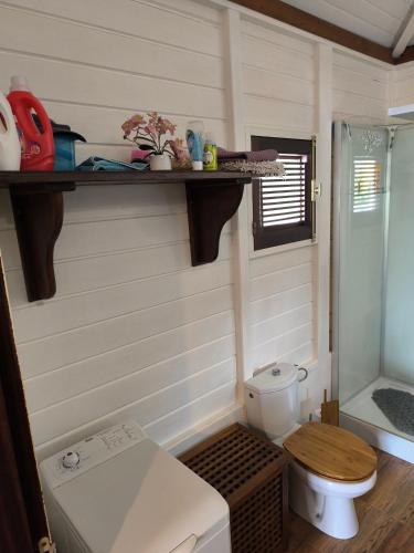 a small bathroom with a toilet and a shower at Studio BRAZILIA Bois et Nature, terrasse avec vue sur les Pitons in Le Robert