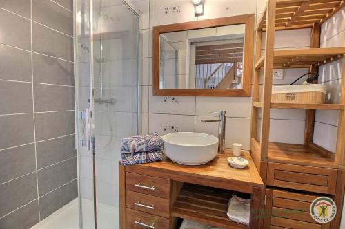 ein Badezimmer mit Waschbecken und Dusche in der Unterkunft Au bord du ruisseau in Saint-Quay-Perros